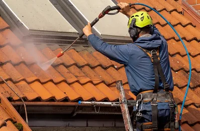Démoussage et hydrofuge de toiture à Barlieu